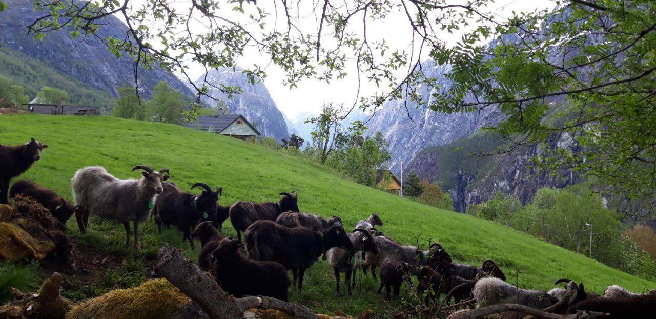 Stalheim Fjord Og Fjellhytter ภายนอก รูปภาพ